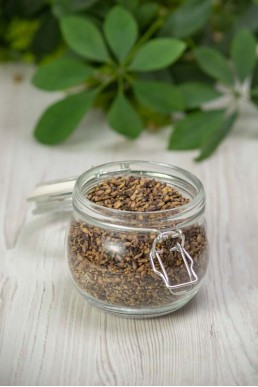 Семена расторопши