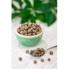 Перець Духмяний, Мексика Перець Духмяний, Мексика